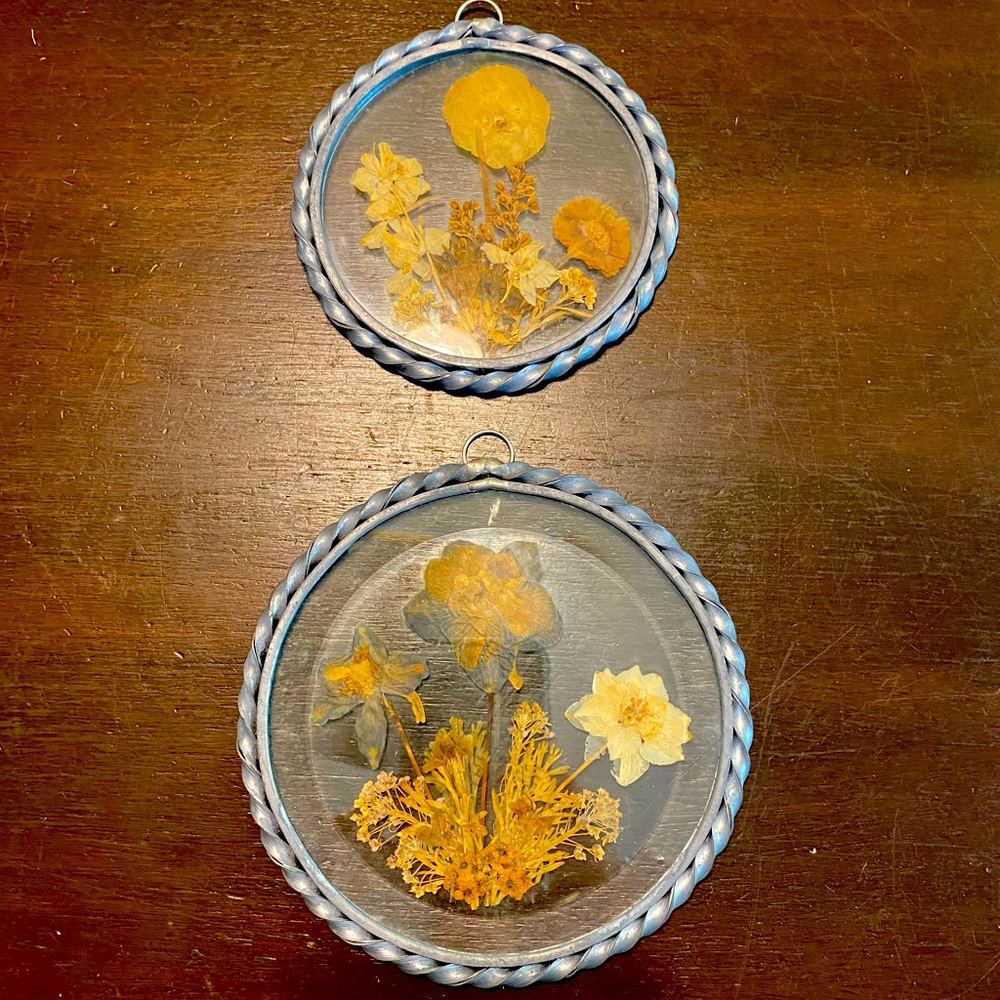 🔥 3 FOR $20 SALE! Vintage Pressed Flower Round Suncatcher Preserved Flowers